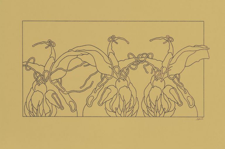 30 ptaków Simurga 3; 1996; ołówek, karton; 60x40