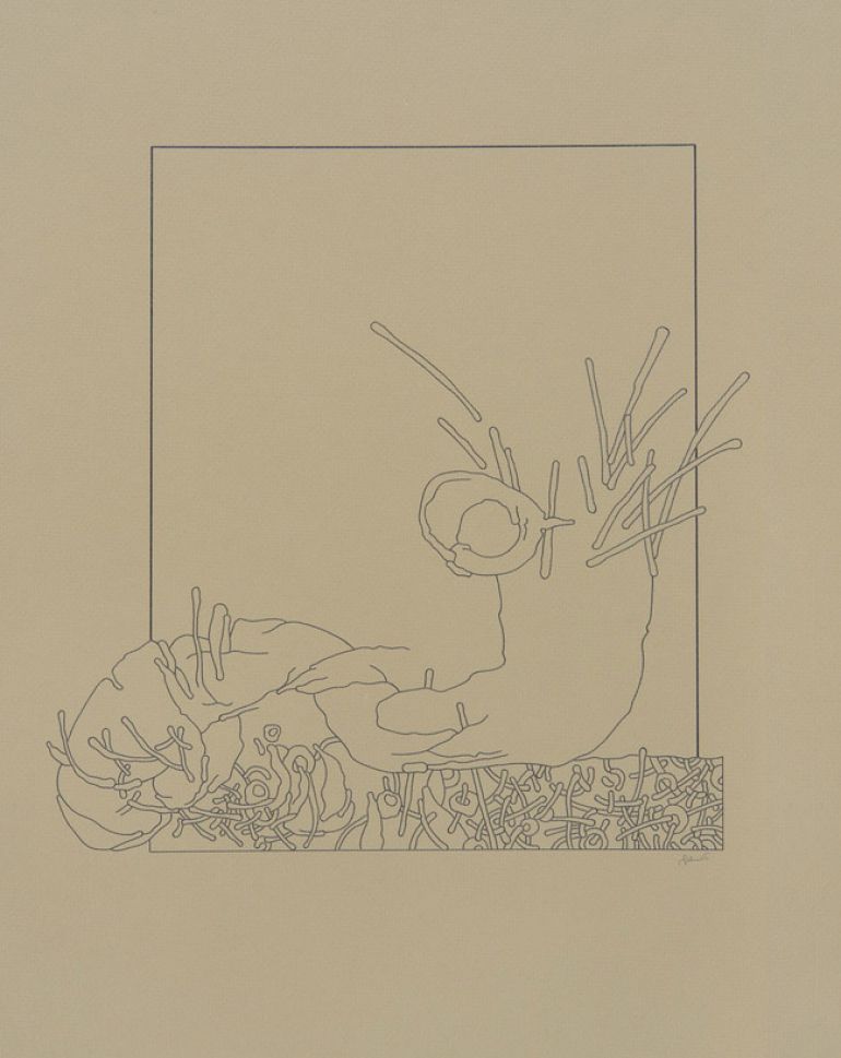 30 ptaków Simurga; 1996; ołówek, karton; 40x50